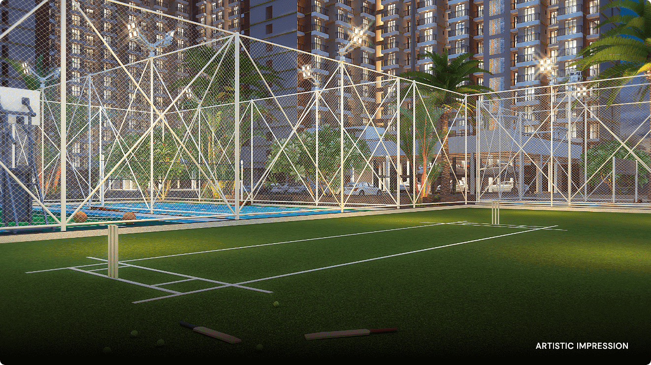 Amenity - Cricket turfs